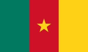 National Flag of Cameroon