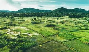 Aerial view of Malawi