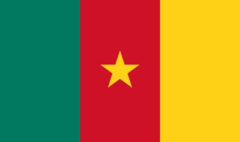 The Flag of Cameroon