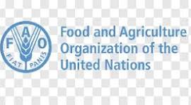 FAO Logo