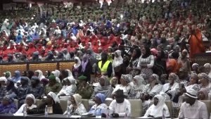 Nigerien Supporting Government Initiative 