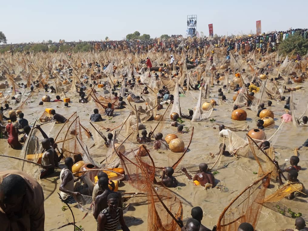 Argungu fishing competition