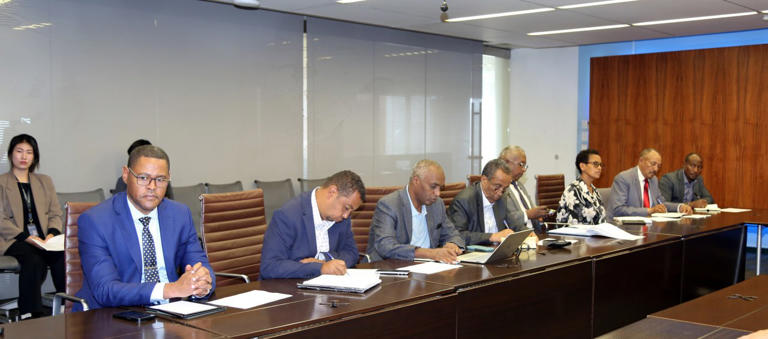 Ethiopian and Korean Officials