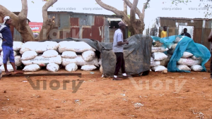 Nigeria -China Ginger Export Market Boom 2