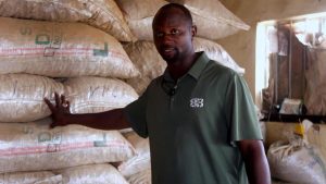 Nigeria -China Ginger Export Market Boom 