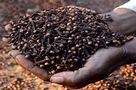 Zanzibar Cloves for exports 