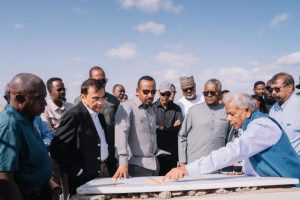 Dangote, Ethiopian Prime Minister and  businessmen