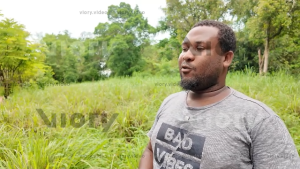 Zanzibar cloves farms