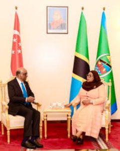 Singaporean and Tanzania Presidents