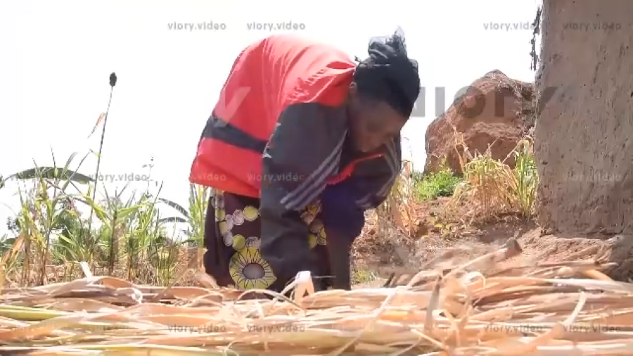 BANANA LEAVES TURNED INTO WEALTH