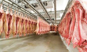 Modern Meat-Factory