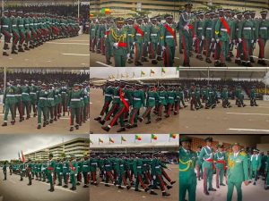 Nigeria-Benin Republic Soldiers Displays