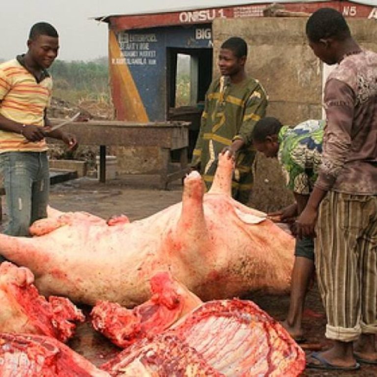 Unorthodox Meat Slaughtering in Nigeria 1